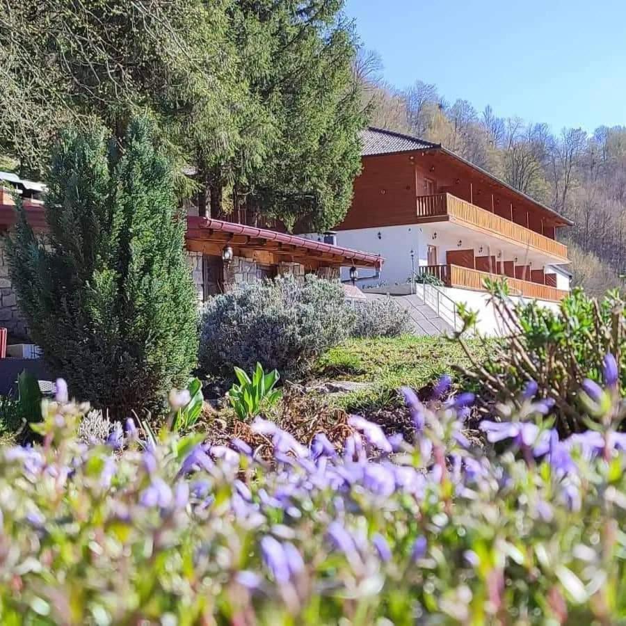 B&B Zlatna Nit Босанска-Крупа Экстерьер фото